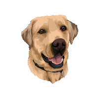 Montypp Sticker by Pickle's Pawtraits