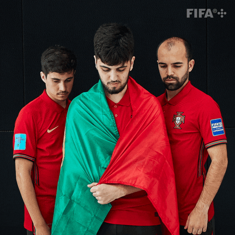 Portugal Fenc GIF by FIFA