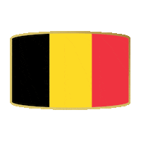 Fifa Belgium Sticker