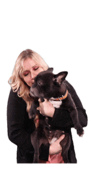 Holding French Bulldog Sticker by hurrado