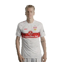 Football Celebrate Sticker by VfB Stuttgart