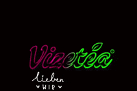 Vizetea party liebenwir vizetea GIF