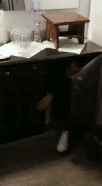 Events Applause GIF by 247GRAD