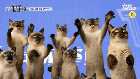스큐파 GIF