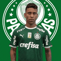 Palmeiras soccer futebol clean palmeiras GIF