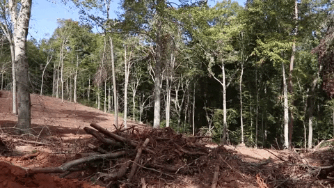 Land Clearing GIF by JC Property Professionals