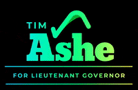 TimAsheVT vote vermont timashe tim ashe vermont GIF