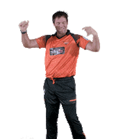 sunriserseasterncape cricket sec sunrisers sa20 Sticker