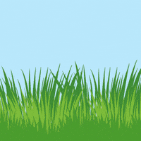 Illustration Love GIF by BigBrains