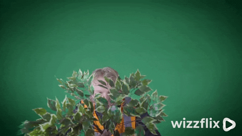 Wizzflix_ giphyupload green good job forest GIF