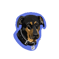 Lucy Shaker Sticker by HeARTs Speak