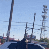 Excuse Me What GIF