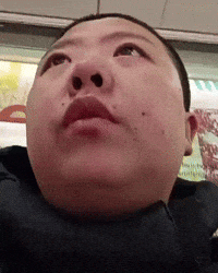 Chicago Niche GIF