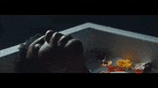 Music Video Applause GIF by whiterosemoxie