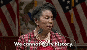 January 6 Congress GIF by GIPHY News