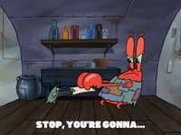 season 5 GIF by SpongeBob SquarePants