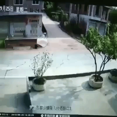 come home bae GIF