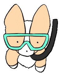 dog summer Sticker by Tiffbits