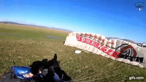 giphyupload GIF