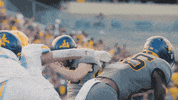 West Virginia Sport GIF by WVU Sports