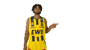 Ewe Baskets Basketball Sticker by EWE Baskets Oldenburg