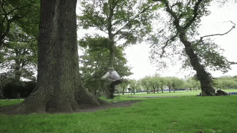 GIF by The Leith Agency