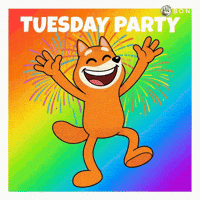 Party Dancing GIF by BONK