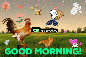 ZyptoPower crypto good morning morning bitcoin GIF