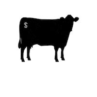 Boi Churrasco Sticker by Rincon Del Sarandy