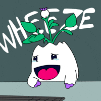 Laugh Lol GIF by Magic Eden