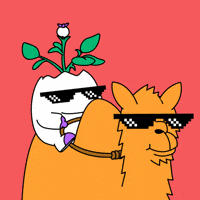 Wednesday Morning Chill GIF by Magic Eden