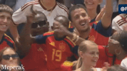 World Cup Win GIF
