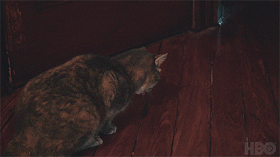 New York Comedy GIF by HBO