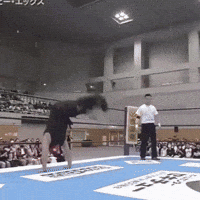 Wwe Win GIF by Respective