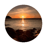 Adrianaanttunes Sticker