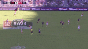 freodockers freodockers freohighlights aflfreosaints GIF