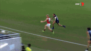 aussie rules football GIF by Essendon FC