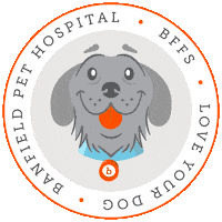 Puppy Petcare Sticker by BanfieldPetHospital