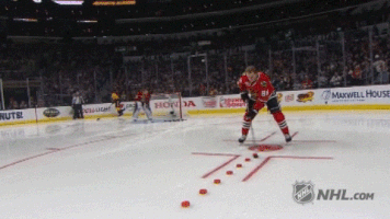 ice hockey GIF by NHL