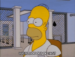 season 3 homer GIF