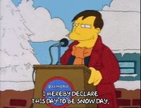 Season 2 GIF by The Simpsons