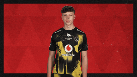 Borussia Dortmund Hello GIF by Bundesliga