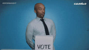 voting midterm elections GIF by iOne Digital