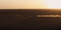 Mystery Road GIF by ABC Indigenous