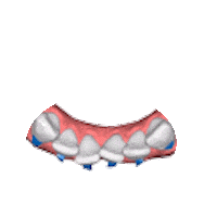 Dentist Smile Sticker by ModernClear