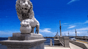 Florida GIF by 50statesproject