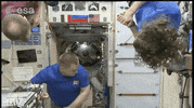 Space Science Universe GIF by European Space Agency - ESA