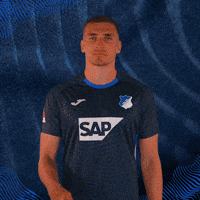 Grischa Prömel Sport GIF by TSG Hoffenheim