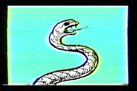 markvomit glitch vhs snake markvomit GIF