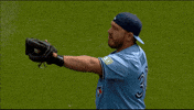 Blue Jays Baseball GIF by Toronto Blue Jays